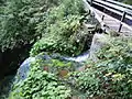 Dam facility and edge of the lower main waterfall