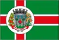 Flag of Santo Antônio do Pinhal