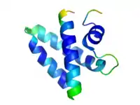 Saposin A (PDB: 2DOB​).