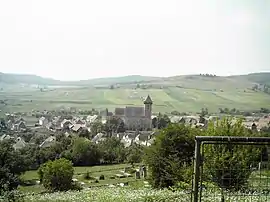 Panoramic view of the commune with the Transylvanian Saxon Evangelical Lutheran fortified church in the background