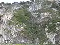 Cliff face around Greek side