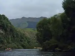 Scenery on the Grade 2 Mohaka River.