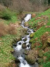 The Scrape Burn within the gardens.