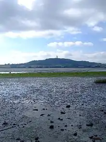 Photograph on Scrabo Hill with tower seen from far