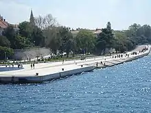 Bašić's sea organ