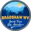 Official seal of Bradshaw