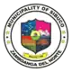 Official seal of Sibuco