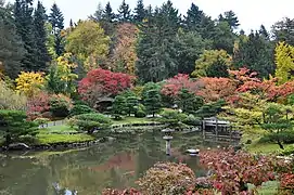 The Seattle Japanese Garden