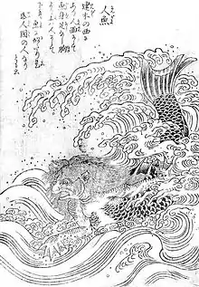 Ningyo (人魚, human fish or mermaid) is a sea creature which is human from the chest up, and a fish below.