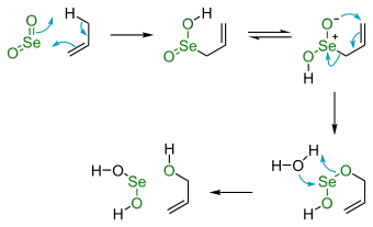 Allylic oxidation