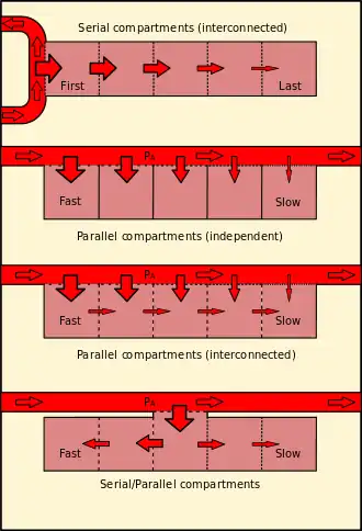 Diagram comparing serial (interconnected), parallel (independent), parallel (interconnected) and combined series-parallel tissue compartment models