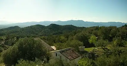 Serra de Collredó seen from the east. In the background the Ports de Beseit