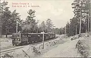 Train of the Seaside Sestroretsk railway. In operation at this station about 1900