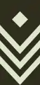 Staff sergeant(Seychelles Infantry Unit)