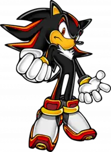 A tall and angry black hedgehog making a menacing pose. He has red eyes, dark skin around his snout and ears, red streaks on his quills and arms, black and gold handcuffs, white fur on his chest, and white, black, red, and yellow skates, with yellow-orange fire from his air shoes.