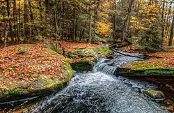 a Shallow Pool in Rock Hill, NY