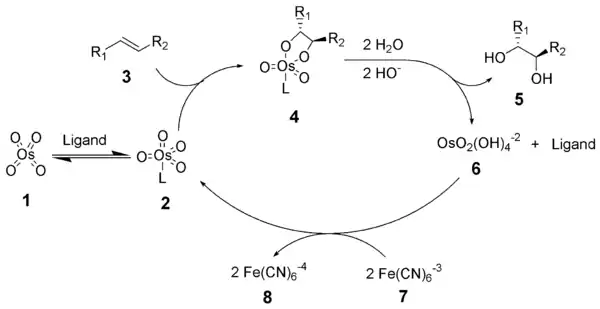 The reaction mechanism of the Sharpless dihydroxylation