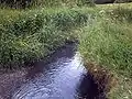 Oldbury Arm of the Tame close to its entrance to the Sheepwash Urban Park, between Great Bridge, Tipton, and West Bromwich. At this point it is still only 1–2 metres wide if not in flood.