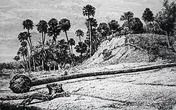 Image 24A shell midden at Enterprise, Florida in 1875. (from History of Florida)