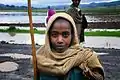 Ethiopian shepherd