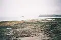 Remains of a shipwreck near Trebetherick Point