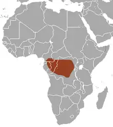 The Congo