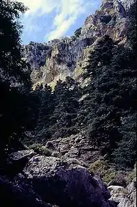 Sierra de las Nieves