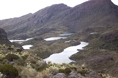 Siete Lagunas ("Seven Lakes") on Cáchira's páramo