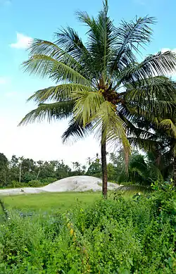 The white sand dunes, a typical sight around Pallipuram