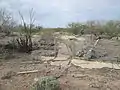 The ruins of a house in Silver Bell.