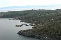 A tree-lined bay seen from the air