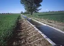 Image 11Surface irrigation system using siphon tubes