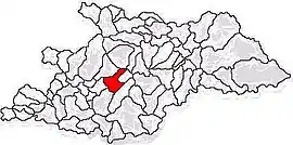 Location in Maramureș County