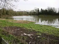 Skaters' Meadow