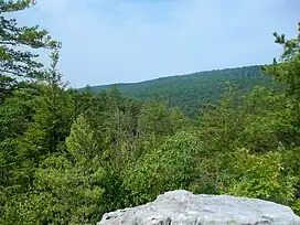 View of Sleepy Creek Mountain from Devil's Nose