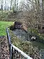 4. The brook disappears into a culvert