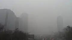 Several skyscrapers shrouded in a thick cloud of smokey gas.