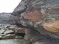 Fossilised tree remnants embedded in the cliff