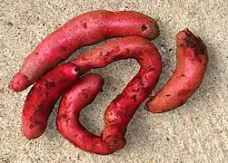 Michuñe Roja variety