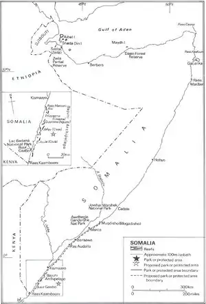 Image 14Somalia's coral reefs, ecological parks and protected areas (from Piracy off the coast of Somalia)