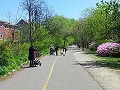 A rail trail in a suburban area