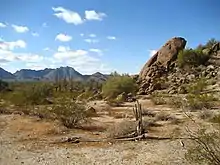 Image 16The Sonoran Desert 35 miles (56 km) west of Maricopa, Arizona (from Geography of Arizona)