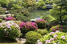 Rhododendron garden