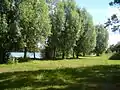 The public park beside the Loing River in Souppes-sur-Loing