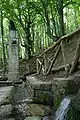 The source of the Tiber (side view)