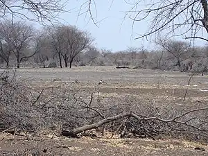 Farmland at the end of the dry season, Hwali south