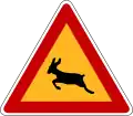 Wild animals crossing