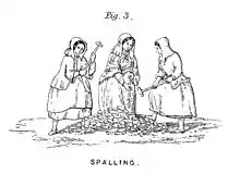 Image 37Bal maidens at work, showing traditional dress (from Culture of Cornwall)