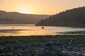 Driftwood on a beach with some small watercraft in the nearby water