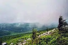 Image 16The summit of Spruce Knob is often covered in clouds. (from West Virginia)